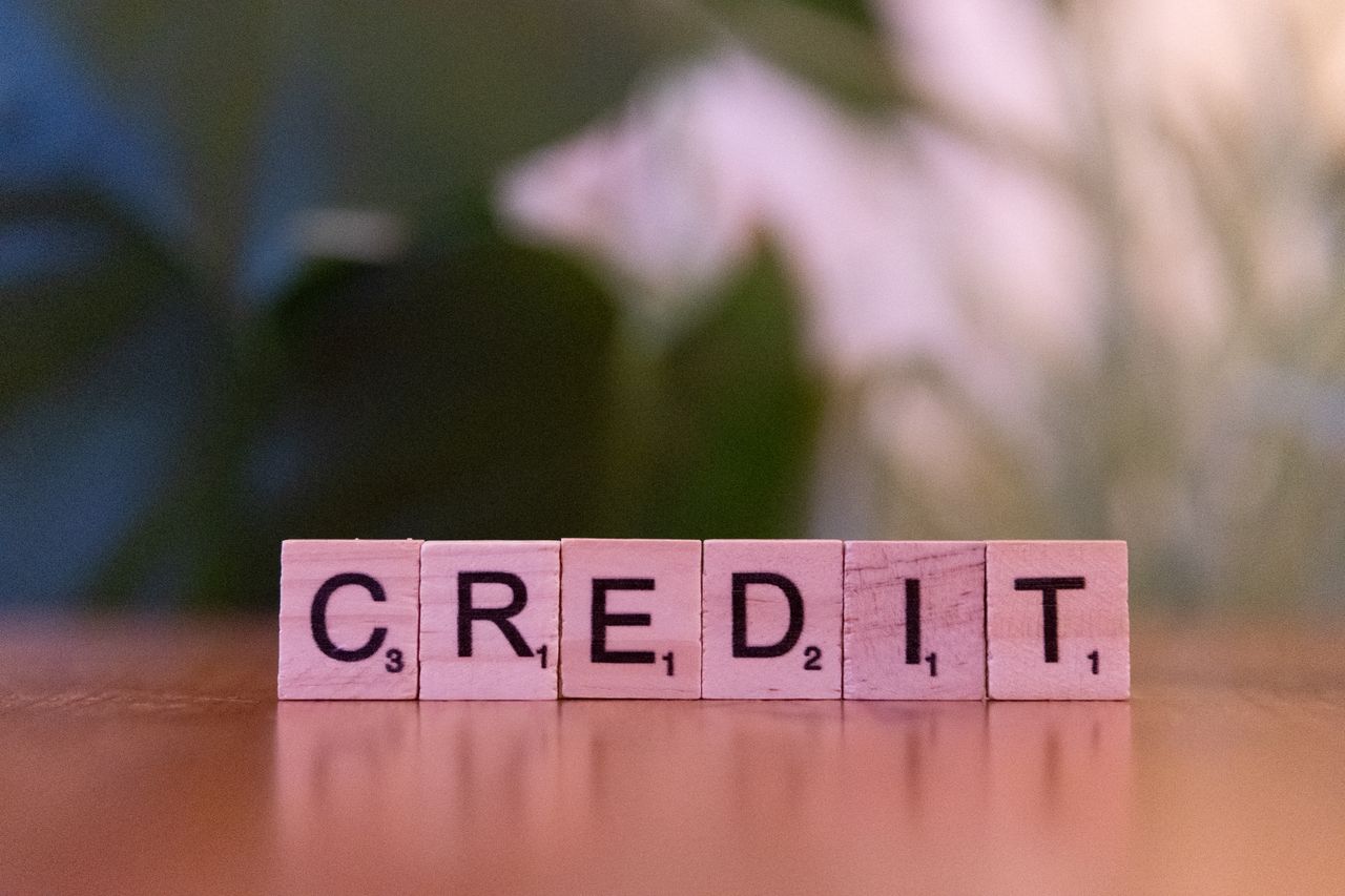 Close-up of wooden blocks spelling credit with a blurred leafy background.